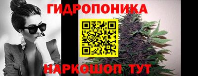 гашик Кулебаки