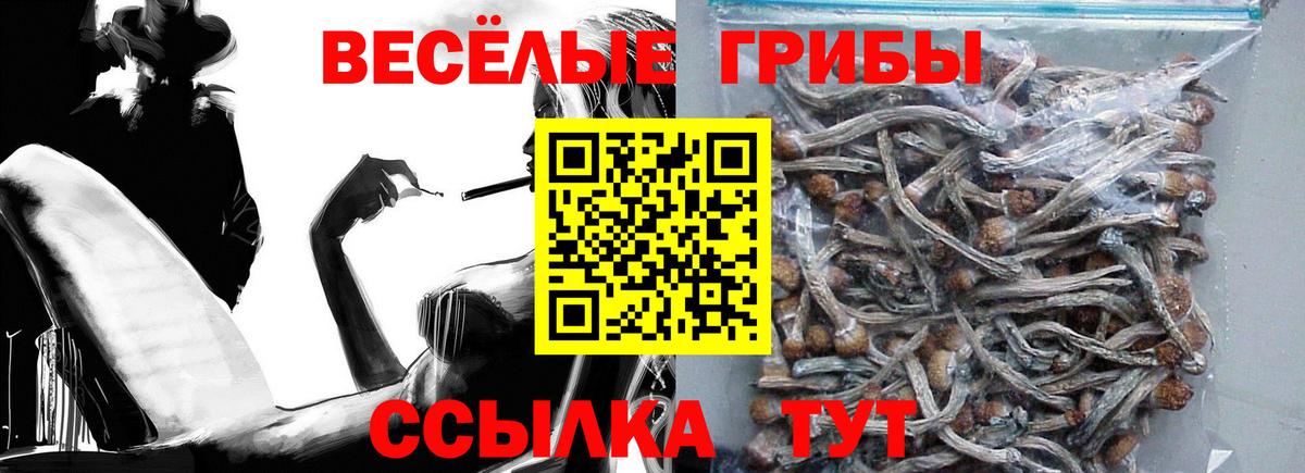 Галлюциногенные грибы ЛСД  Вход с VPN  где продают   Галлюциногенные грибы мухоморы  Клинцы 